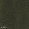 L-6739