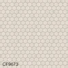 CF9673