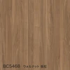 color chip