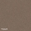 TS2429