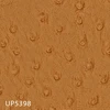UP5398