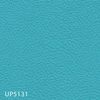 UP5131