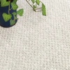 オフホワイト