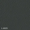 L-6025