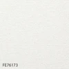 FE76173