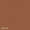 UP5161