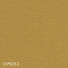 UP5052