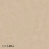 UP5404