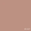 color chip