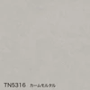 color chip