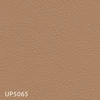 UP5065
