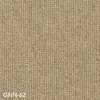 GNN-62