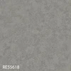 RE55618