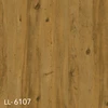 LL-6107