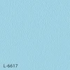 color chip