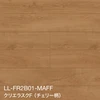 LL-FR2B01-MAFF