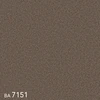 color chip