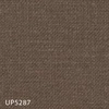 UP5287
