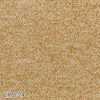 color chip