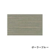 color chip