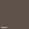 color chip
