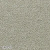 color chip