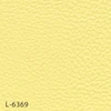 color chip