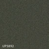 color chip