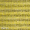 color chip