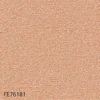 FE76181