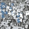 color chip