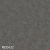 RE55622