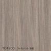 color chip