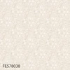 FES78038