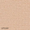UP5289