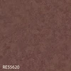 RE55620