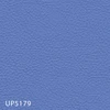 UP5179