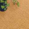 オレンジ