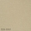 color chip