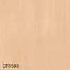 color chip