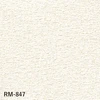 color chip