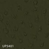 UP5401