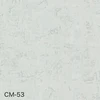 color chip