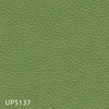 UP5137