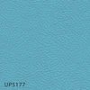 UP5177