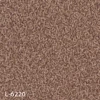 L-6220