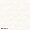 RE55851