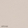 UP5163