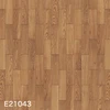 E21043