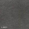 L-6651
